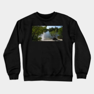 Sparkling Florida Water at Robinson Preserve Crewneck Sweatshirt